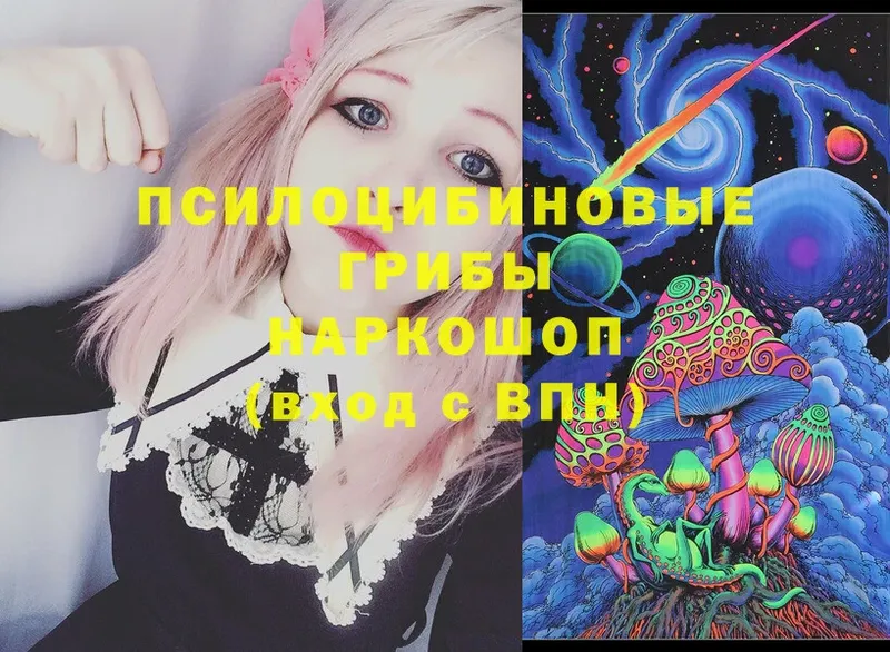 мега ссылки  наркота  Ефремов  Псилоцибиновые грибы Magic Shrooms 